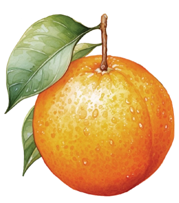 Agrodenso Arancia