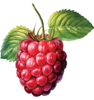 Agrodenso Lampone